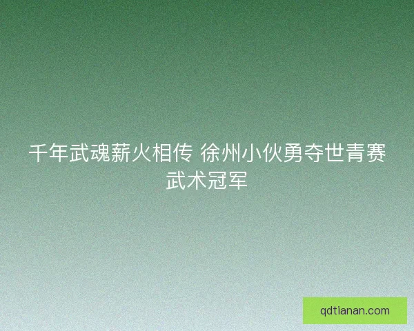 千年武魂薪火相传 徐州小伙勇夺世青赛武术冠军 千年武魂薪火相传 徐州小伙勇夺世青赛武术冠军