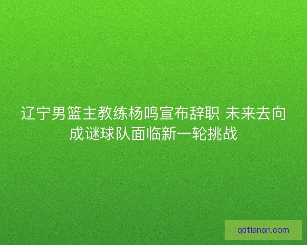 辽宁男篮主教练杨鸣宣布辞职 未来去向成谜球队面临新一轮挑战